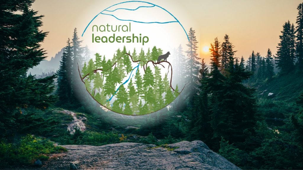 natural-leadership-instill-resilience-in-your-business