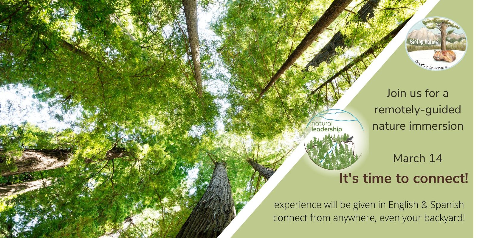 Remotely guided nature immersion