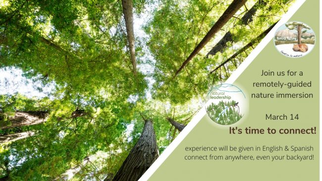 Remotely guided nature immersion