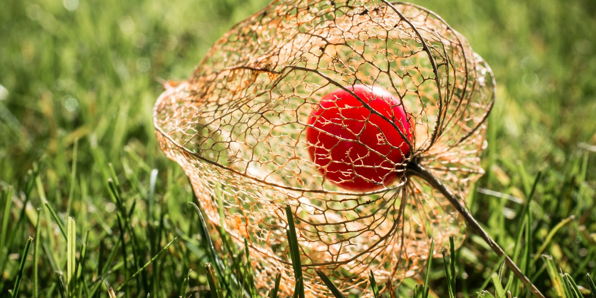 hansjorg-keller-ZDHcziN9i2g-unsplash